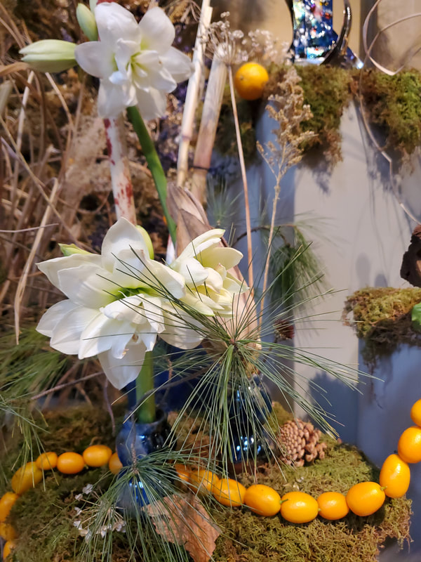 Up close view of seasonal winter floral installation by District 2 Floral Studio at a Cathedral with locally grown Nebraska evergreens, grasses, dried flowers, amaryllis and clementines.