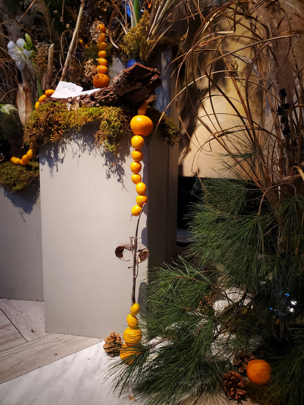 Floor view of seasonal winter floral installation by District 2 Floral Studio at a Cathedral with locally grown Nebraska evergreens, grasses, dried flowers, amaryllis and clementines.