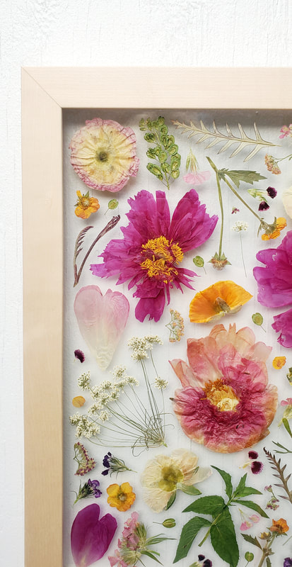 Up close of pink pressed flower preservation piece by District 2 Floral Studio with peony and ranunculus in a custom poplar frame with maple veneer.