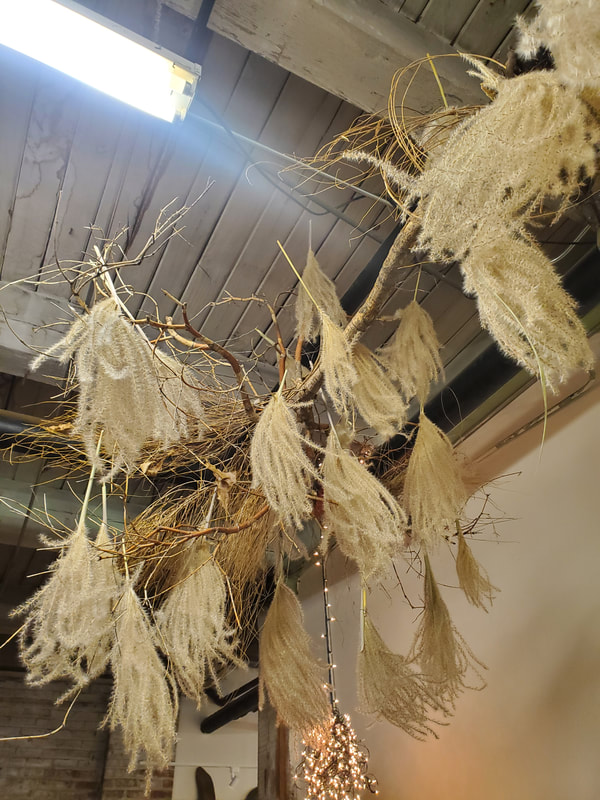 Fluffy locally grown Nebraska grasses suspended from a gallery ceiling as part of an installation by District 2 Floral Studio.