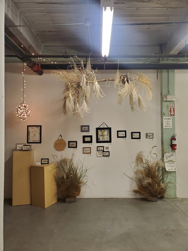 View of a gallery with framed pressed flowers and locally grown Nebraska grass arrangements framing the installation by District 2 Floral Studio.