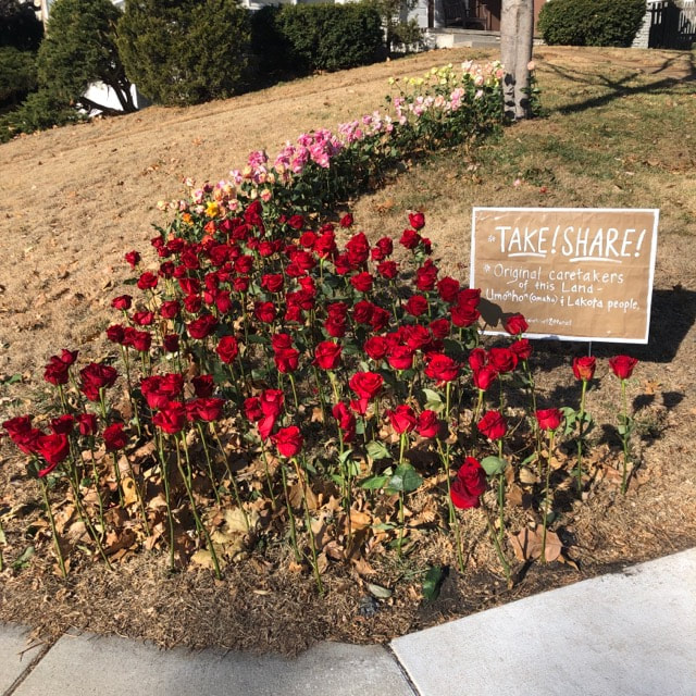 Red, pink and yellow roses are placed in a lawn, winding down the length of the yard. Installation by District 2 Floral Studio. A sign reads, "Take! Share!"