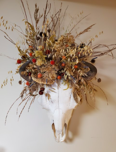 Bull skull adorned with with locally grown Nebraska dried flowers created by District 2 Floral Studio.